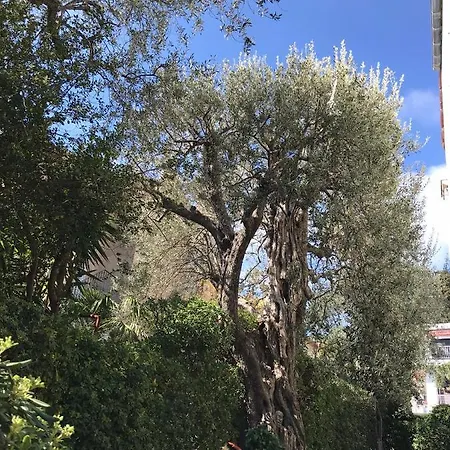 L'olivadou St Jean Cap Ferrat *