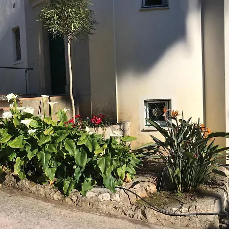 L'olivadou St Jean Cap Ferrat Saint-Jean-Cap-Ferrat