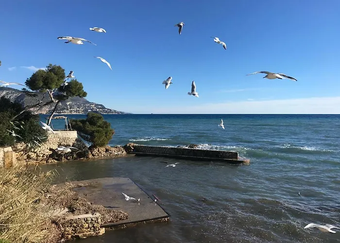 L'olivadou St Jean Cap Ferrat